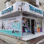 Pleksi Kutu Harf Tabela